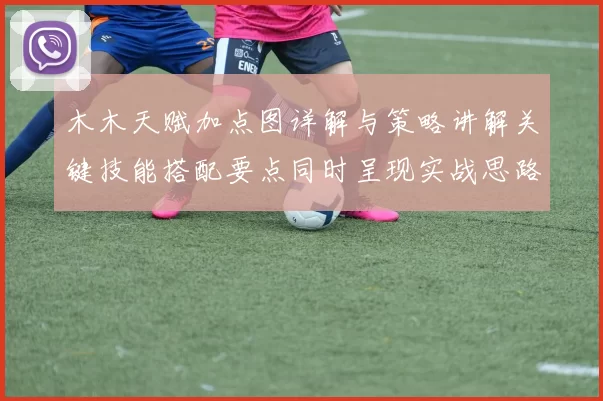 木木天赋加点图详解与策略讲解关键技能搭配要点同时呈现实战思路