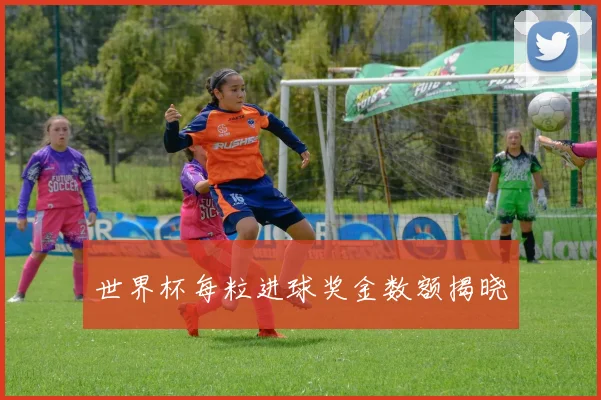 世界杯每粒进球奖金数额揭晓